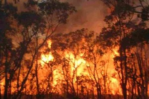 احتدام حرائق غابات في جنوب غرب الولايات المتحدة