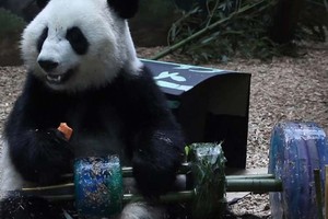 عيد ميلاد من نوع آخر