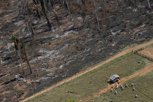  توسيع المزارع يضر بالطبيعة في 58% من اليابسة في العالم