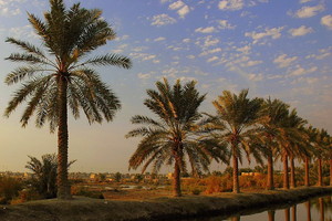 البصرة تسجل ثاني أشد درجة حرارة في العالم