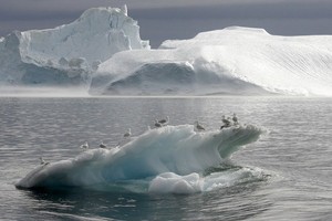 خبراء: العام 2016 الأدفأ في التاريخ