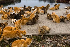 حقائق مثيرة لا يسمع بها كثيرون في حياتهم