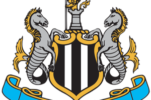 نيوكاسل يضم السنغالي دياميه