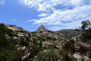 بالصور... 'عسير' منطقة سياحية سعودية جعلت من مقوماتها وجهات سياحية متعددة