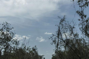 العاصفة المدارية ايرل تصل إلى اليابسة فوق جنوب شرق المكسيك