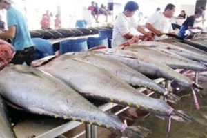 الدجاج والأسماك تقلل خطر الوفاة