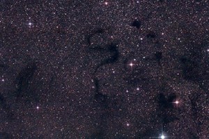 هاوٍ أميركي يلتقط صورة ثعبان أسود في الفضاء