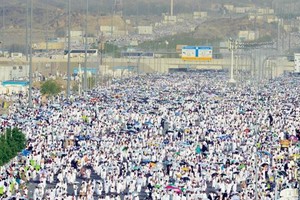 100 ألف من حجاج الداخل سجلوا في المسار الإلكتروني خلال 72 ساعة