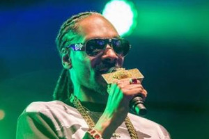 اعتقال العشرات لتعاطي الكحول في حفل موسيقي في نيويورك