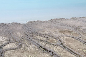 الصيد والزراعة والاستغلال المفرط للموارد اخطر على التنوع الحيوي من الاحترار المناخي