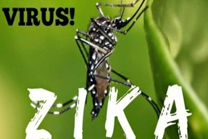 أميركا تعلن حالة الطوارئ في بورتوريكو بسبب تفشي فيروس زيكا