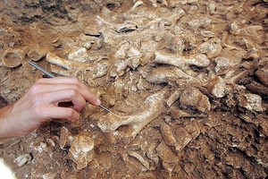 علماء الآثار يكتشفون كنزا في مقبرة بقبرص