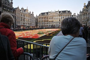 خاص بـ 'الوسط'... بالصور افتتاح مهرجان سجادة الزهور في بروكسل