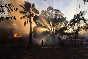 حريق غابات يدمر 2200 هيكتار من الأراضي في كاليفورنيا