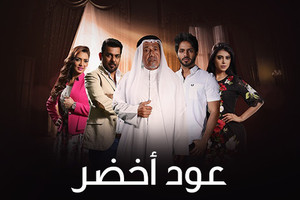 شيكات بلا رصيد... أجور ممثلين كويتيين في «عود أخضر»!