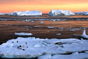 ذوبان الجليد في التربة الصقيعية يهدد بإيقاظ فيروسات دفينة في روسيا 