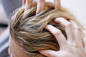 صالونات نسائية تبيع القمل لـ «زيادة كثافة الشعر»