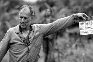 هيرتزوغ: ثمَّة شبَه بين كهوف العصر الحجري القديم والإنترنت