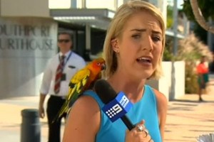 بالفيديو... 'لولا' تضع مذيعة في موقف محرج على الهواء!