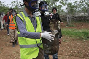 واشنطن تريد محاسبة المسؤولين عن الجمات الكيميائية بسوريا في الامم المتحدة