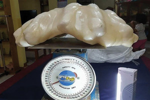 بالفيديو... العثور على لؤلؤة عملاقة في الفلبين