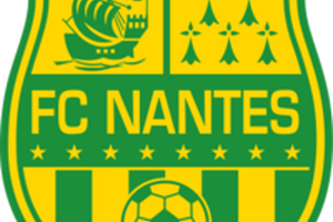 نانت يعزّز صفوفه بالبولندي ستيبينسكي