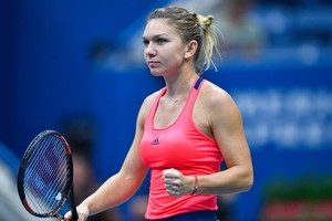 بطولة فلاشينغ ميدوز: هاليب الى الدور الثالث