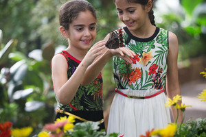 بالفيديو... خلال إجازة العيد فرصة لاكتشاف وجهات جديدة في دبي