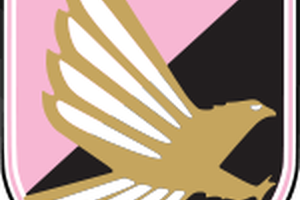 دي زيربي مديرا فنيا لنادي باليرمو