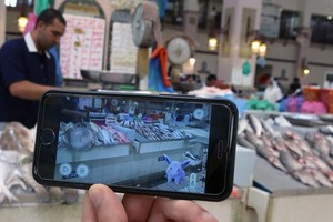 هل يسيء 'بوكيمون غو' للنباتيين في الهند؟