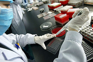 التعديل الوراثي للأنواع الحية يثير جدلاً بين العلماء