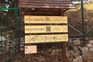 محمية أرز الشوف كنز طبيعي يحيط به الجبال