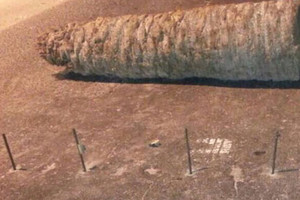 'التربية': مخربون يقطعون الطريق المؤدية إلى ابتدائية أبوصيبع للبنين