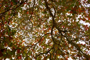 ﻿القبض على العادي بجَمَالية غير عادية