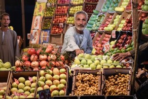 الكويت تشدد إجراءاتها على المحاصيل المستوردة من مصر