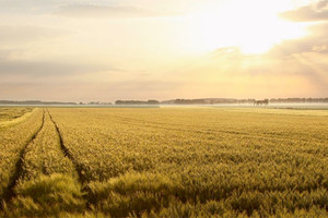 علماء مناخ كبار يشككون في إمكانية حصر الاحترار بمعدل 1.5 درجة