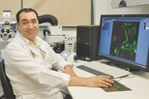 فريق يطور عقاراً جديداً  للسرطان باستخدام 'النانو '