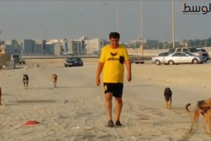 بالفيديو... مواطن اعتاد ممارسة الرياضة والسباحة بساحل الدير فصادقته الكلاب الضالة