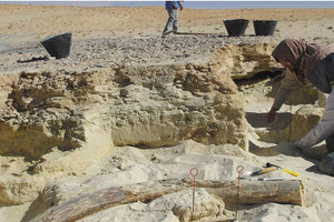 الأمير سلطان بن سلمان: الإنسان استوطن أرض السعودية منذ 1.2 مليون سنة