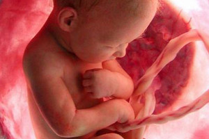 قصة قصيرة... رحلة