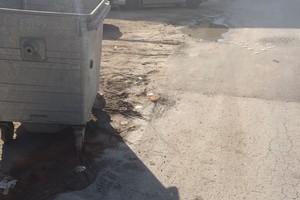 أهالي مجمع 435 بجبلة حبشي يشكون انتشار الروائح الكريهة بفعل فيضان المياه ويطالبون بإنشاء شبكة الصرف الصحي