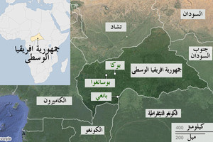 مقتل أربعة أشخاص أثناء احتجاجات بأفريقيا الوسطى