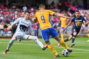 أوريتافيسكايا وبوتش وازكيريدوز يتصدرون التشكيلة المثالية للدوري المكسيكي