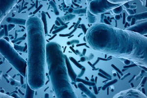 الأمم المتحدة تسعى إلى جمع 400 مليون دولار لمكافحة الكوليرا في هايتي