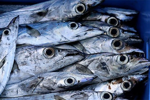 الأسماك في المياه العذبة أساسية للأمن الغذائي في دول العالم الثالث