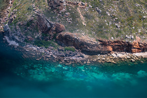 المرجان يستمر بالنفوق في الحاجز المرجاني الكبير في استراليا