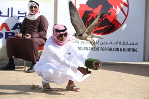اللجنة المنظمة العليا تعلن انطلاق مسابقة البحرين للصقور والصيد 30 ديسمبر القادم