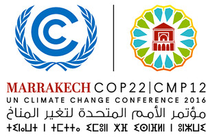 هل العالم الإسلامي يتجه نحو التحول الأخضر؟