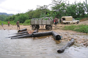 مدغشقر تسعى إلى حماية الليموريات رغم مواردها المحدودة