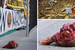 تغريم ناد ألماني ومعاقبته بغلق جزء من ملعبه بسبب رأس ثور